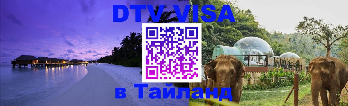 Сколько стоит DTV виза — актуальные цены, оформление даже без документов - Киев 